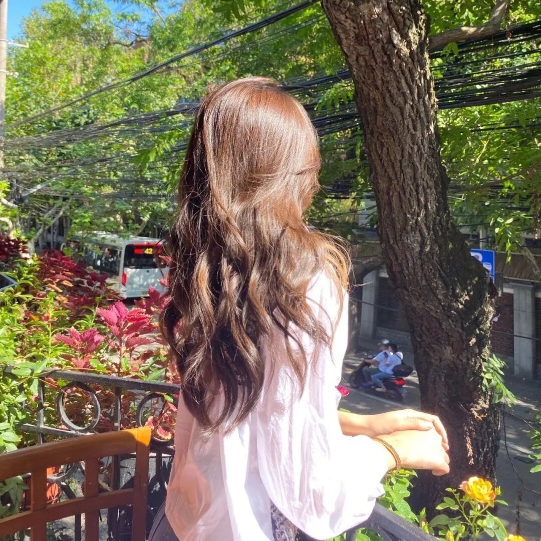 失落的世界（下）